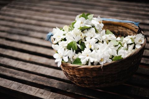 cesta con flores de jazmín
