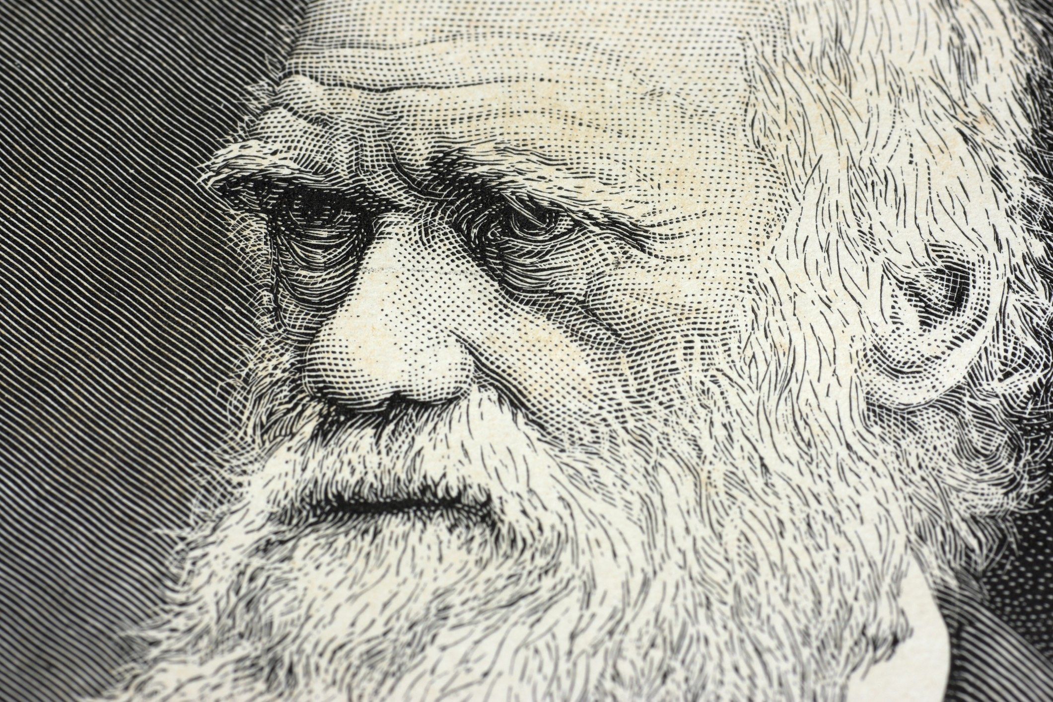 Charles Darwin y su particular Club de los Comilones