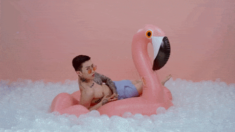 flamingo floatie.gif