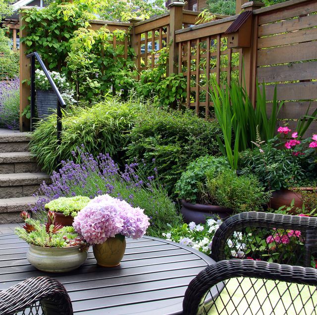 15 Cheap Garden Ideas Best Garden Ideas On A Budget