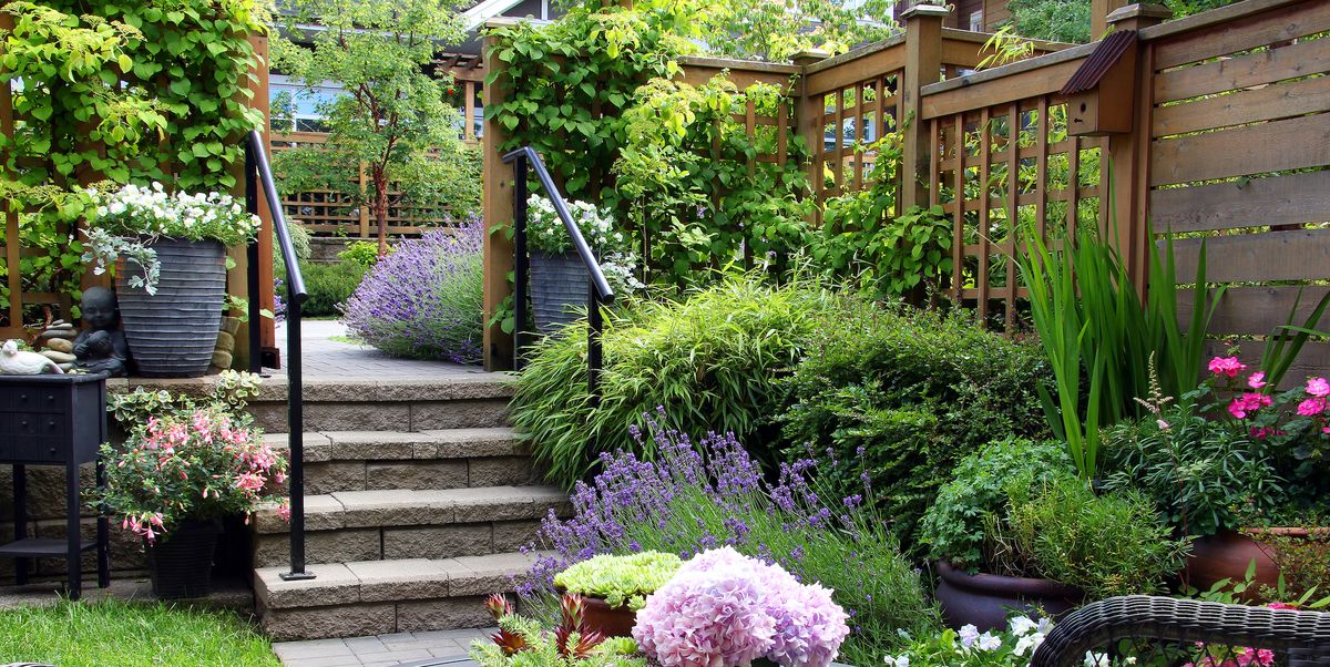 15 Cheap Garden Ideas - Best Garden Ideas On A Budget