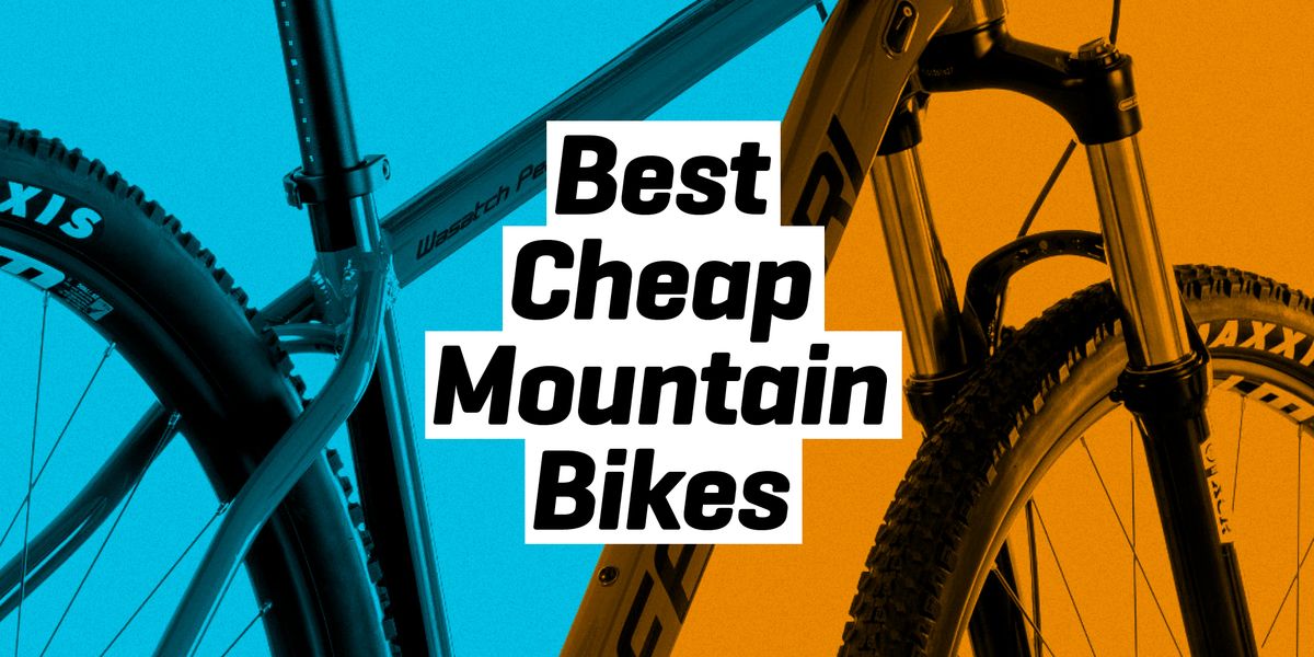The 14 Best Cheap Mountain Bikes