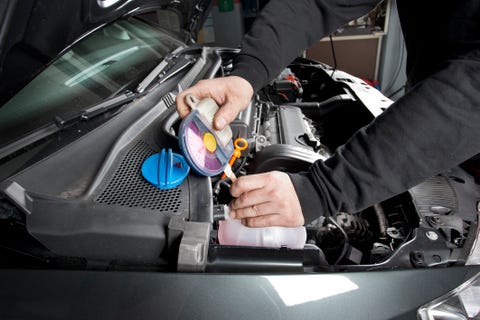 checking the radiator antifreeze