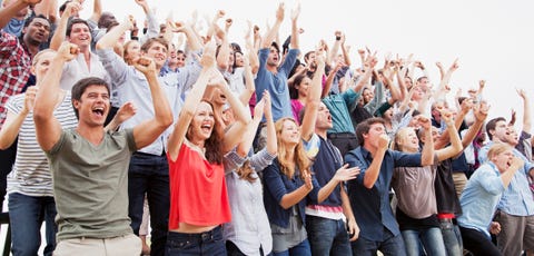 Cheering fans in crowd