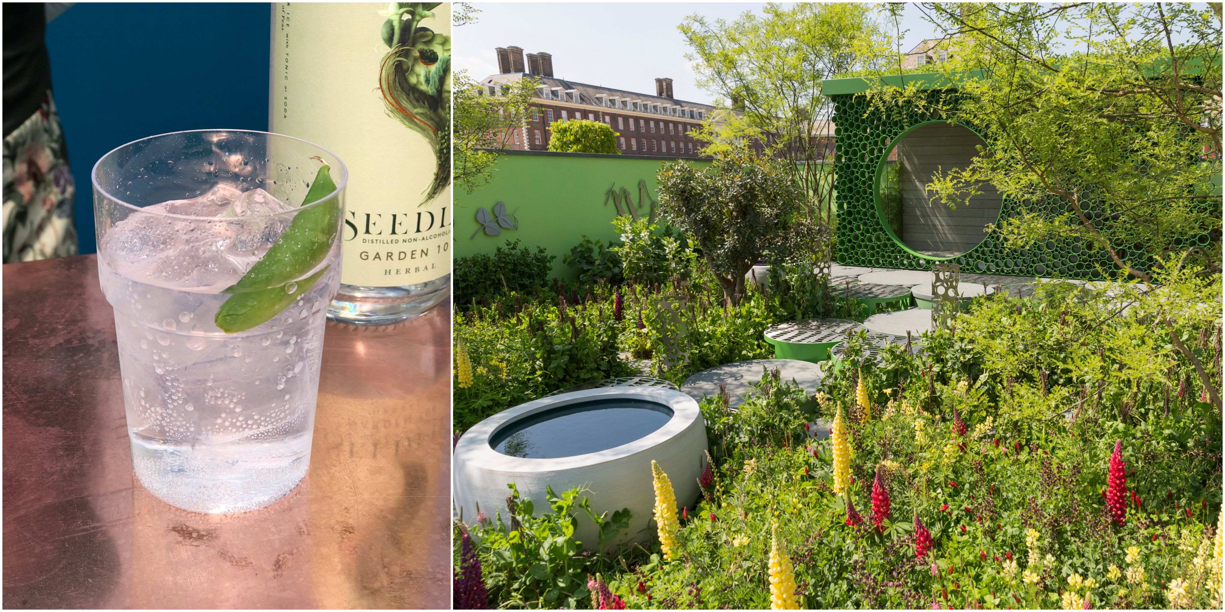 new g&t garnish idea spotted at chelsea flower show 2018 - best g&t
