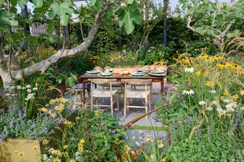 chelsea flower show 2021  the parsley box garden designed by alan williams