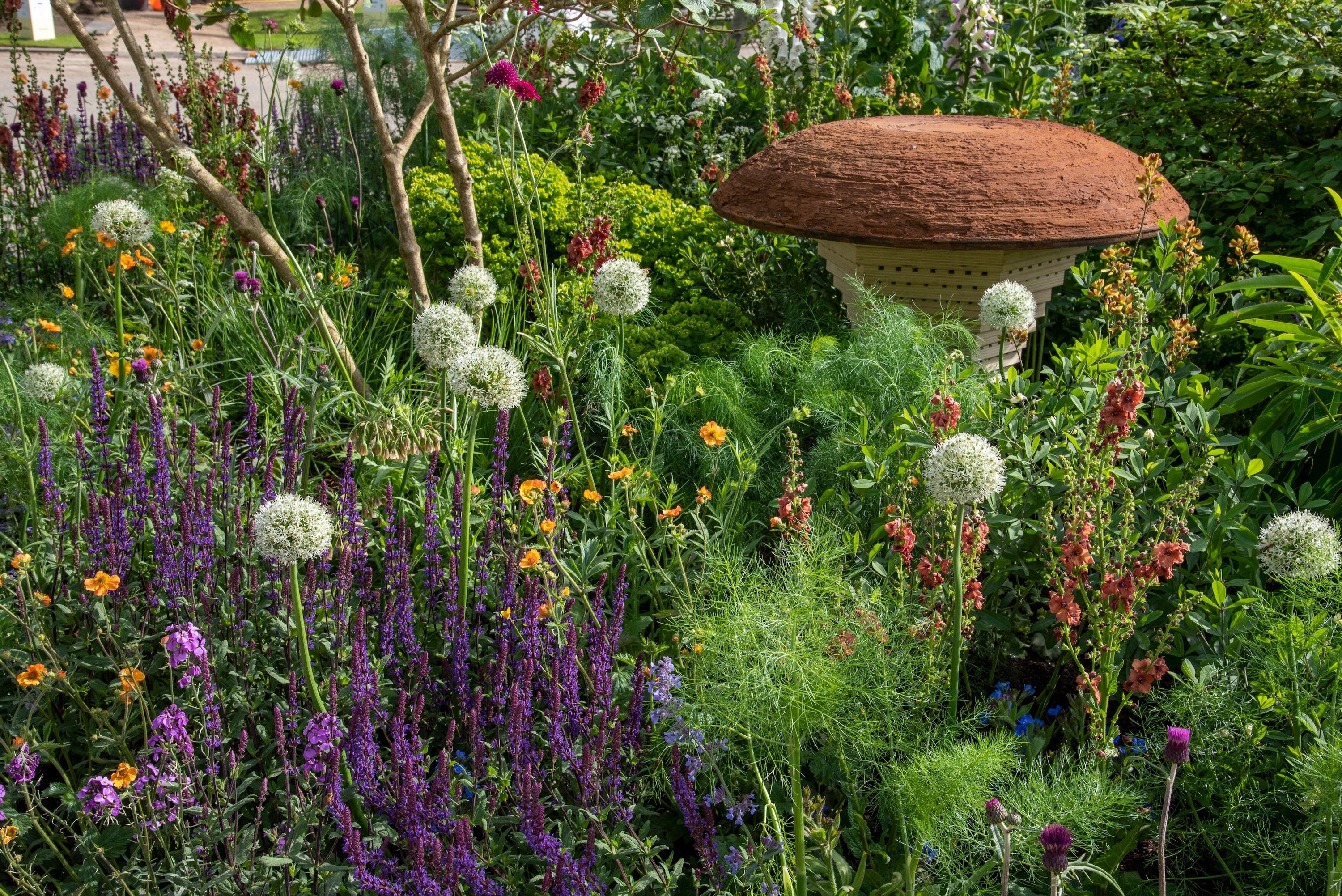 Chelsea Flower Show 2022: top eco-friendly garden ideas to steal from this year's show
