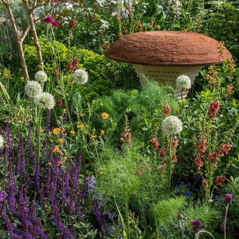 bbc studios our green planet and rhs bee garden designed by joe swift  rhs chelsea flower show 2022