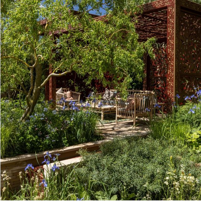 chelsea flower show all 39 gardens and winners gold, best show