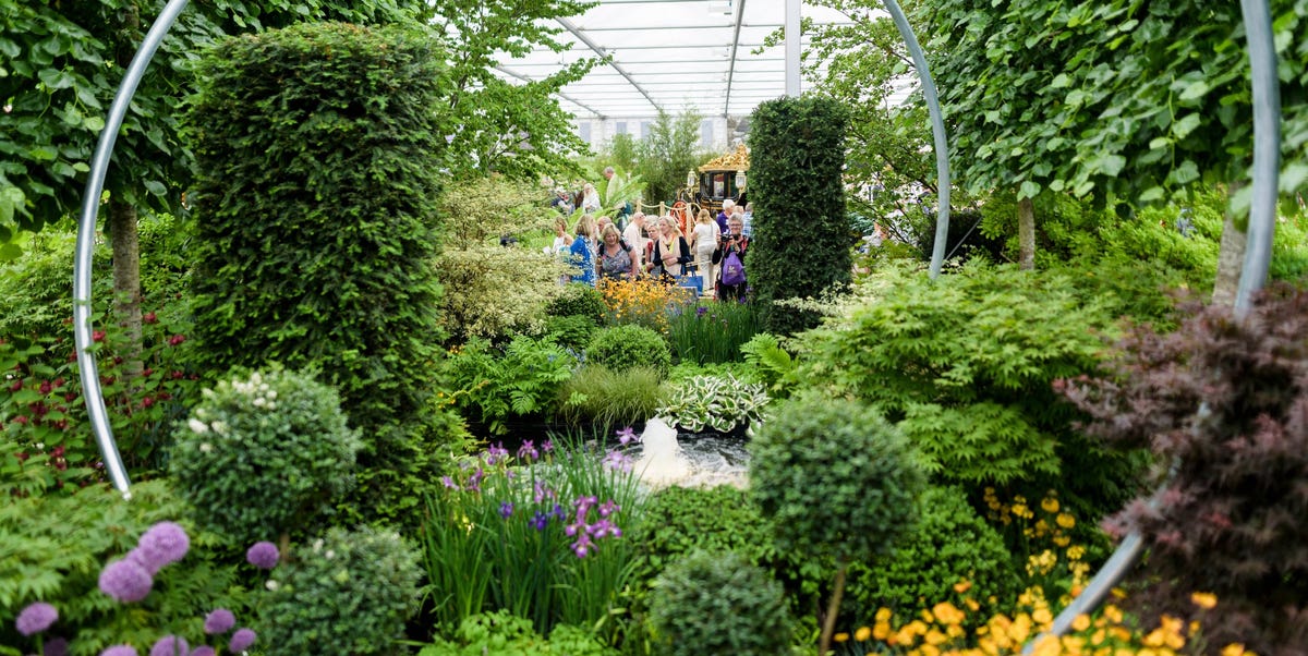 Chelsea Flower Show 2023 Tickets, Dates Location, Highlights