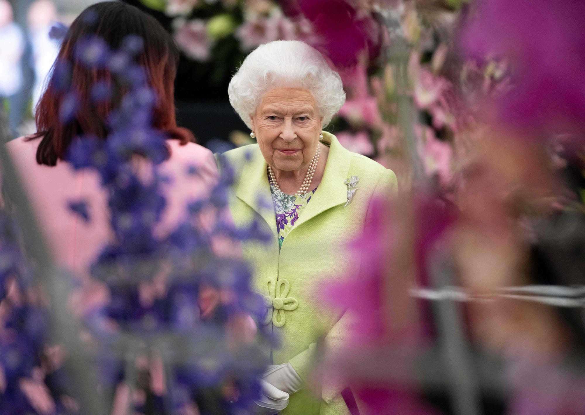 Chelsea Flower Show plant of the decade winner