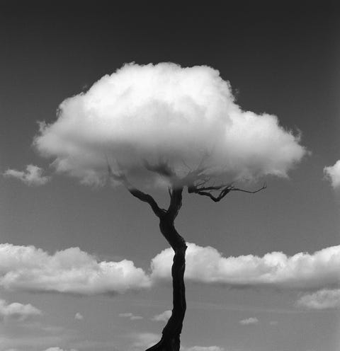 Resultado de imagen de chema madoz. la natur"