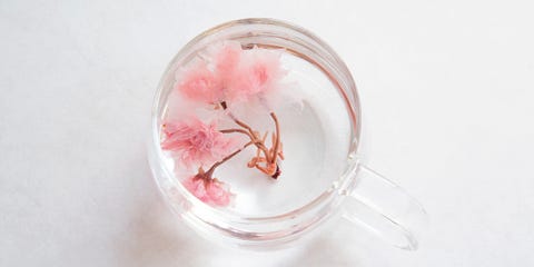 20 cherry blossom tree