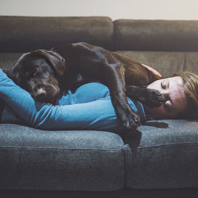 chica durmiendo en el sofá junto a su perro