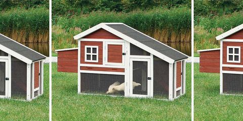 House, Shed, Kennel, Building, Chicken coop, Cottage, Home, Roof, Garden buildings, Dog supply, 