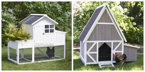 16 Best En Coop Kits For Cool Backyard Coops To En Coops