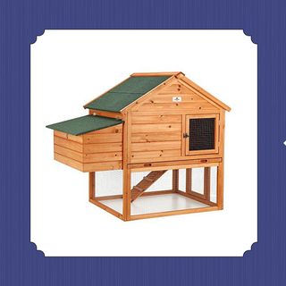 chicken coops to buy