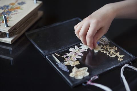child 6 7 arranging pressed wildflowers onto a glass frame