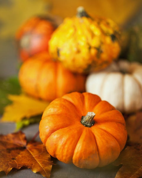 childrens thanksgiving prayer childrens thanksgiving prayer