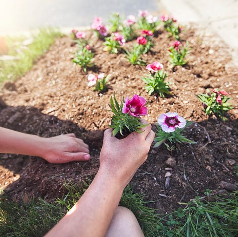 15 Best Gardening Tips For Beginners According To Plant Experts - Tips For Beginner Gardeners 15 Best Gardening Tips For Beginners According To Plant Experts - Tips For Beginner Gardeners