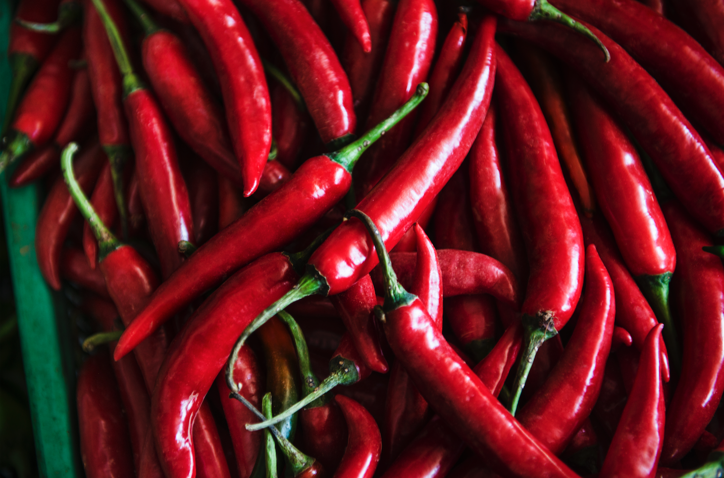 chili long underwear