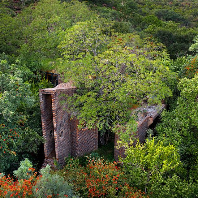 house of the tall chimneys, una casa en un entorno rural de sudáfrica hecha en ladrillo y con altas chimeneas, del estudio de arquitectura frankie pappas