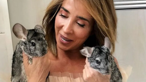 maria patiño chinchillas maria patiño posando con sus chinchillas en una foto de instagram
