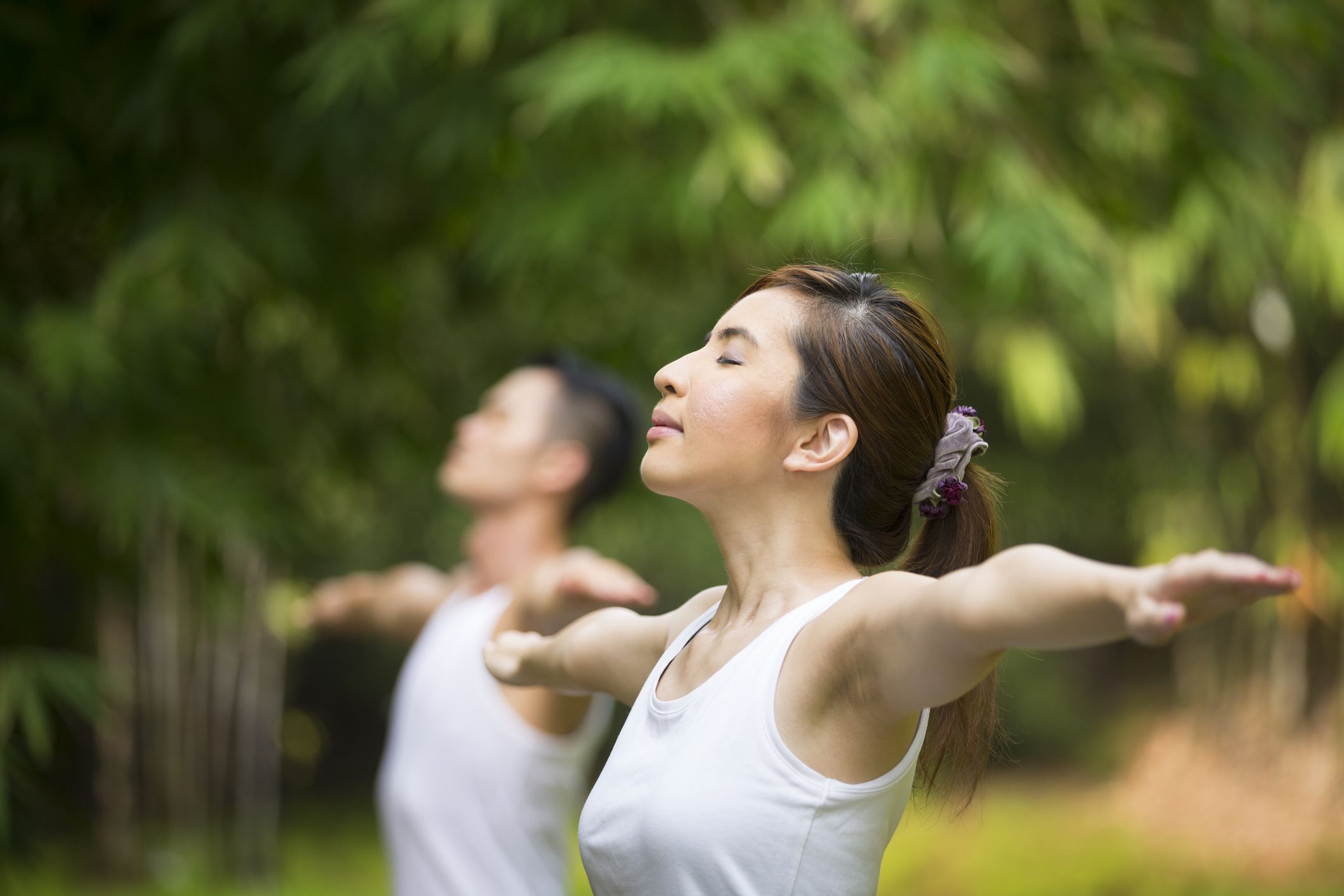 man of tai chi free