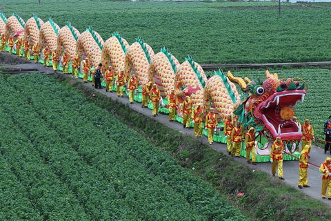 20 Best Chinese New Year Photos - Lunar New Year Parades