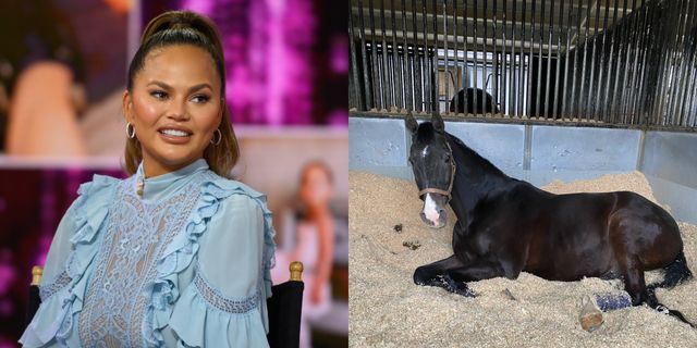 chrissy teigen responds to comments about her horse
