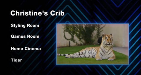 christine quinn mtv cribs tiger