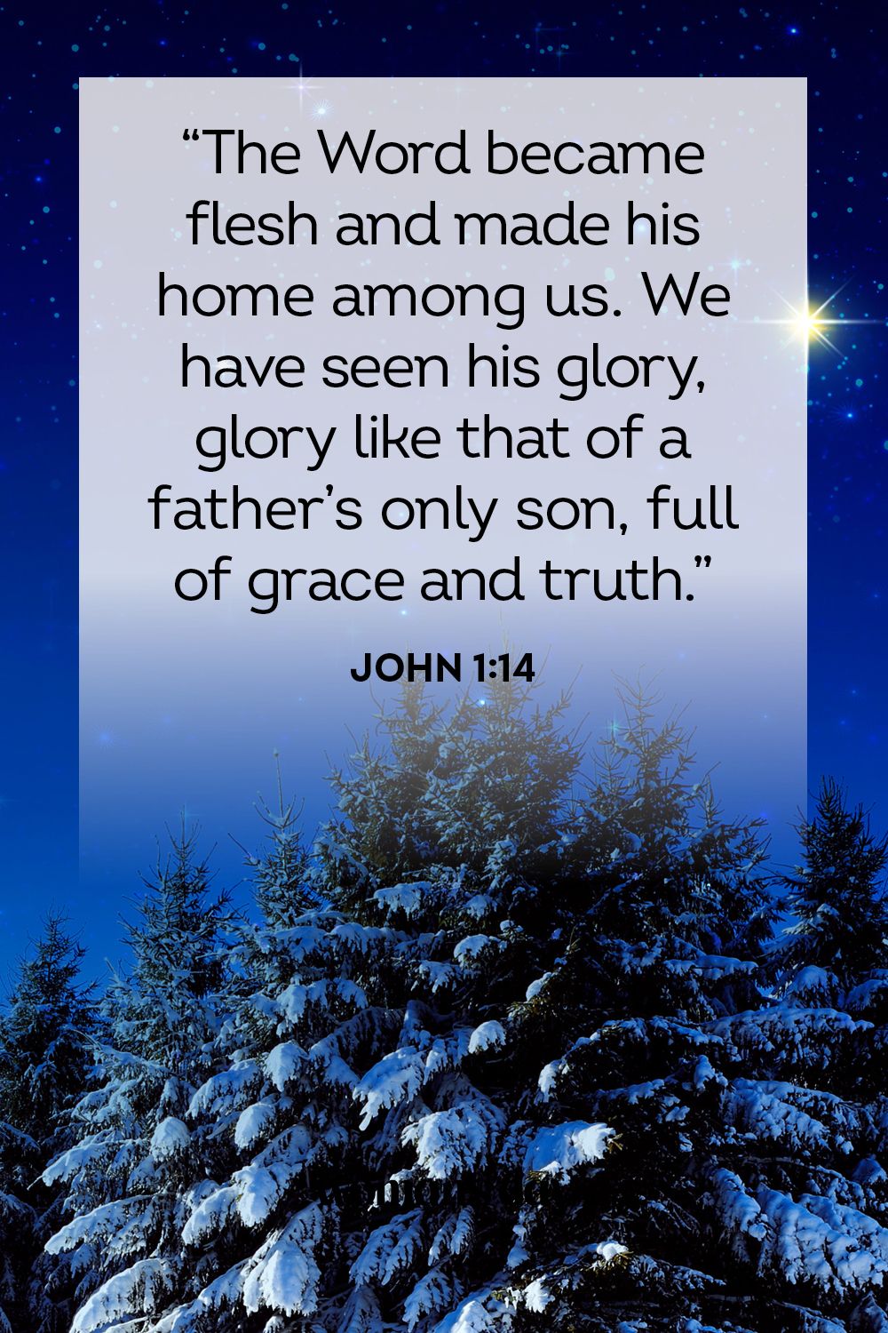 65 Best Christmas Bible Verses — Christmas Scripture For Holiday Cards