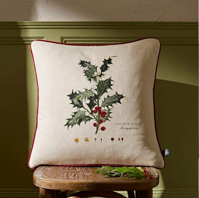christmas cushion for home