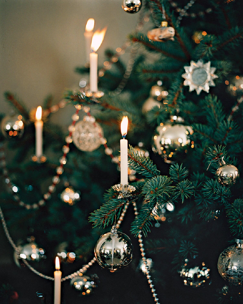 candles on tree