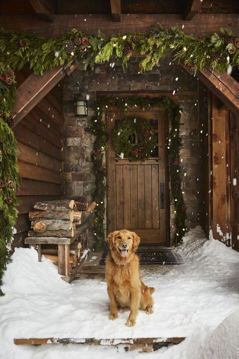 Snow, Dog, Canidae, Winter, Golden retriever, Home, Sporting Group, Tree, Wood, Log cabin, 