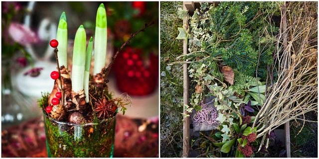 Christmas Foliage Concepts For Adorning Your Dwelling