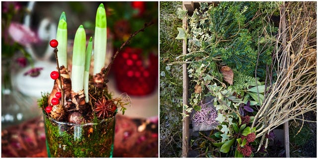 christmas foliage ideas