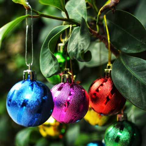 tropical christmas tree with colourful balls