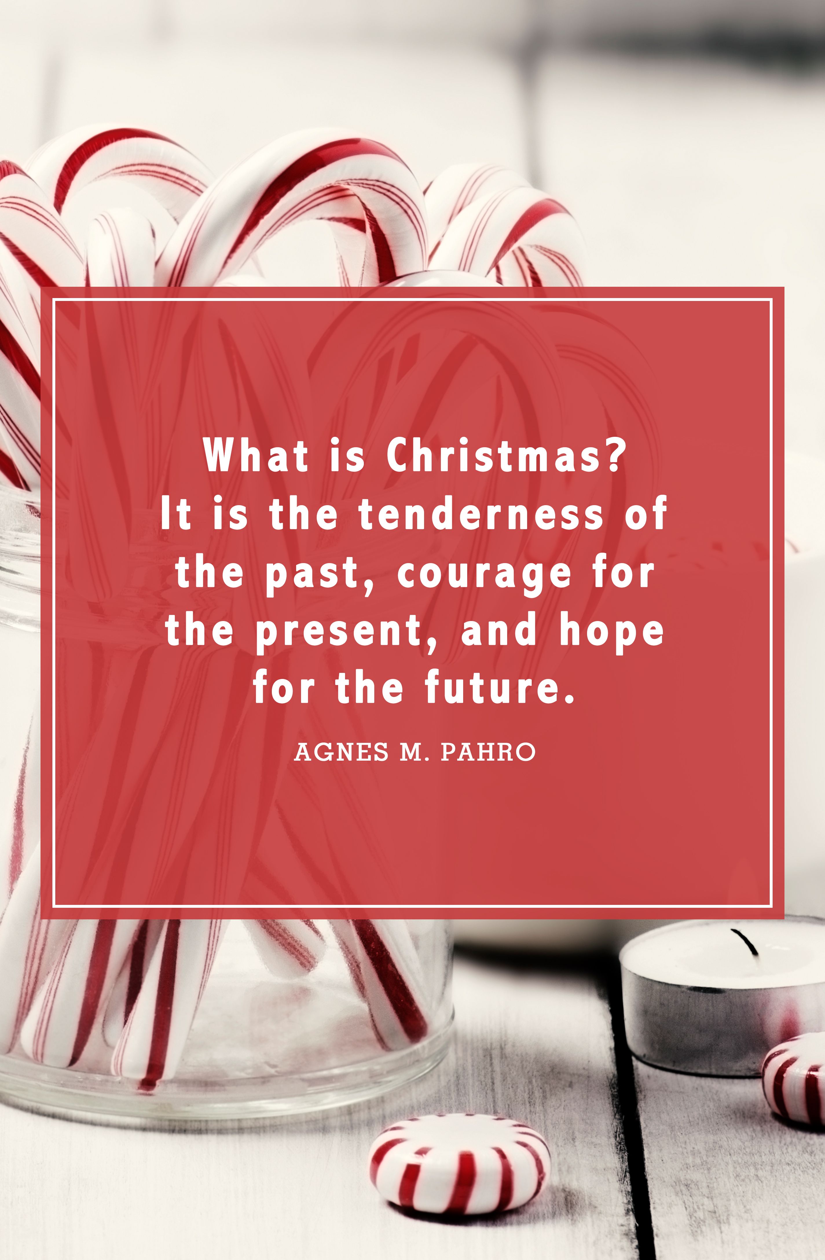 Christmas Quotes Quote Garden 2023 Cool Top The Best List of ...