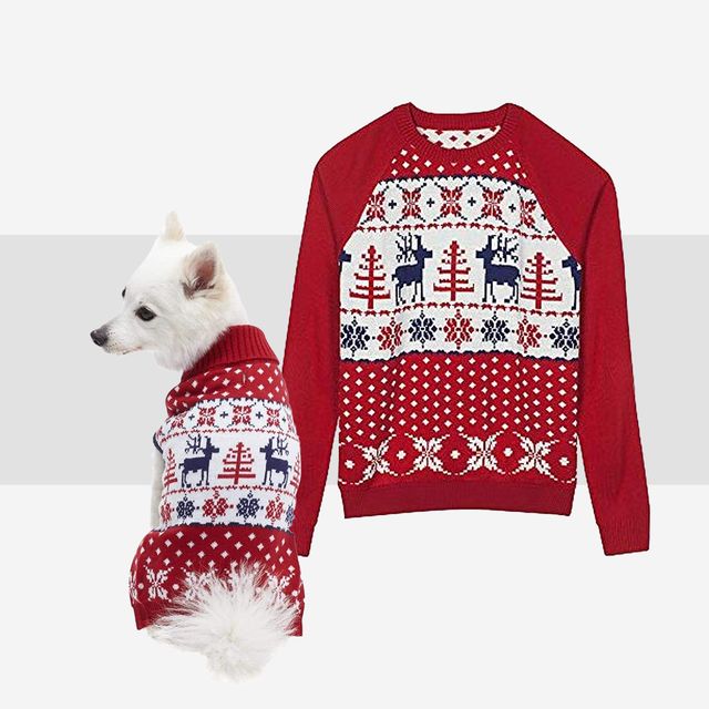 christmas sweaters let you and your dog match