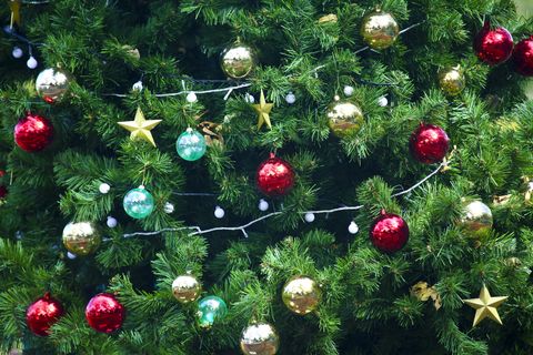 Christmas tree, close-up