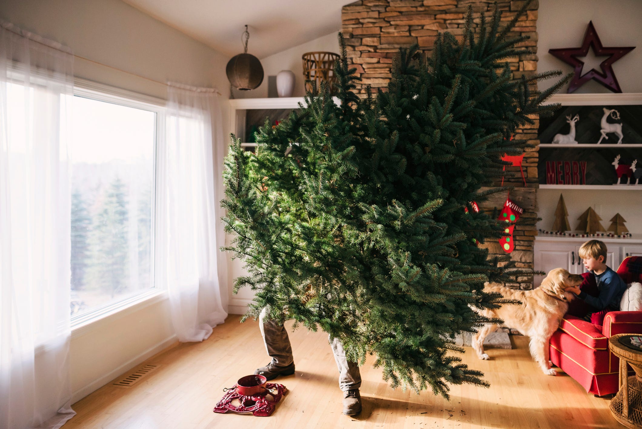 What could be better than a fresh tree delivered to your door? 