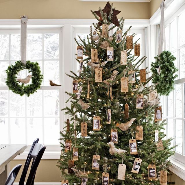 60 decorated christmas tree ideas  pictures of christmas