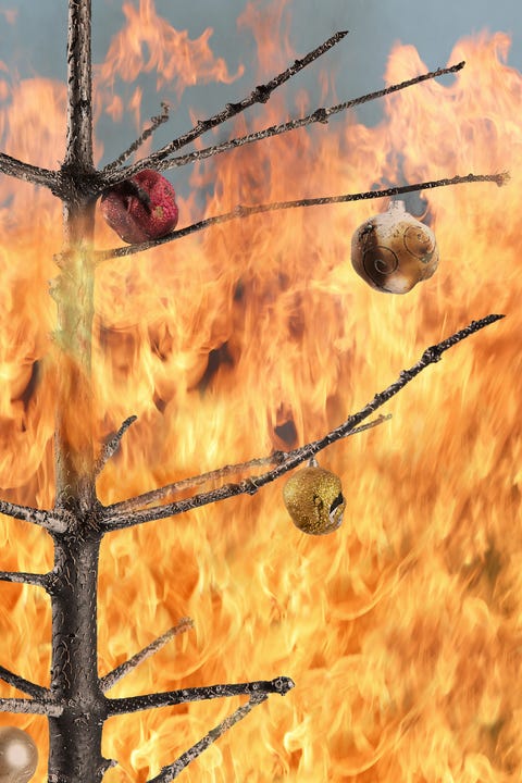 christmas facts -Christmas tree on fire