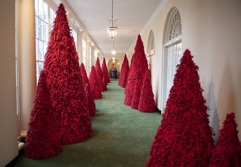 批判殺到 メラニア トランプ大統領夫人 ホワイトハウスのクリスマスツリーを大公開