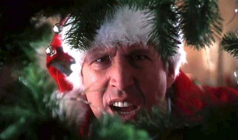 National Lampoon's 'Christmas Vacation' Movie Facts, Cast 
