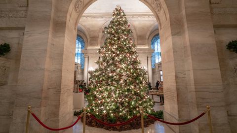 christmas zoom background new york public library