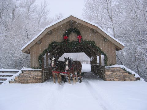 50 Best Christmas Tree Farms in America - Where to Buy a Christmas Tree ...