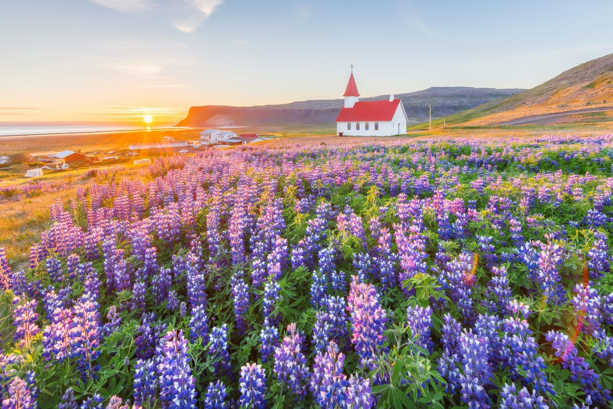 Iceland is the world's safest country