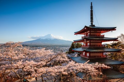 Chureito pagoda and Mt Fuji with cherry blossom